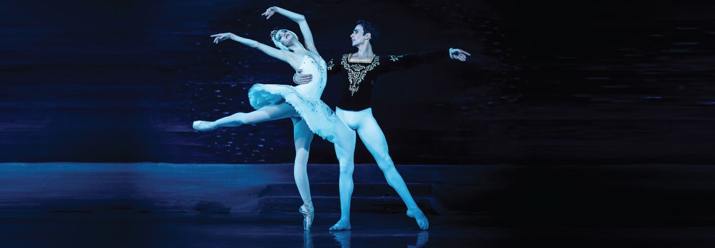 SWAN LAKE