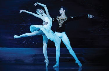 More Info for SWAN LAKE