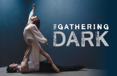 More Info for THE GATHERING DARK