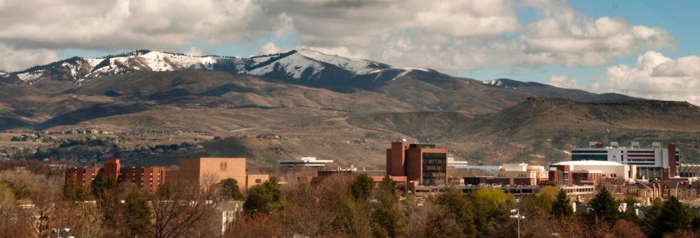 MC View of Mountains Gallery Image